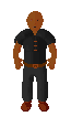 Vincci bit